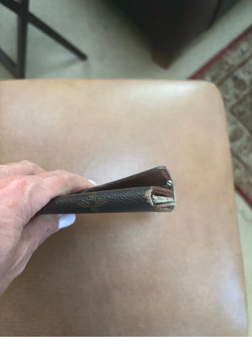 Louis Vuitton iconic lv
